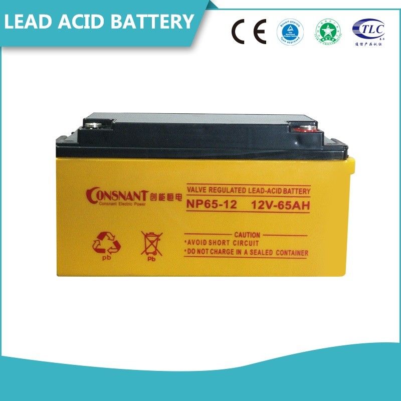 Valve Regulated Sealed Lead Acid Battery Rechargeable Solid Copper Terminal